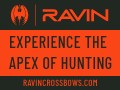 Ravin Crossbows